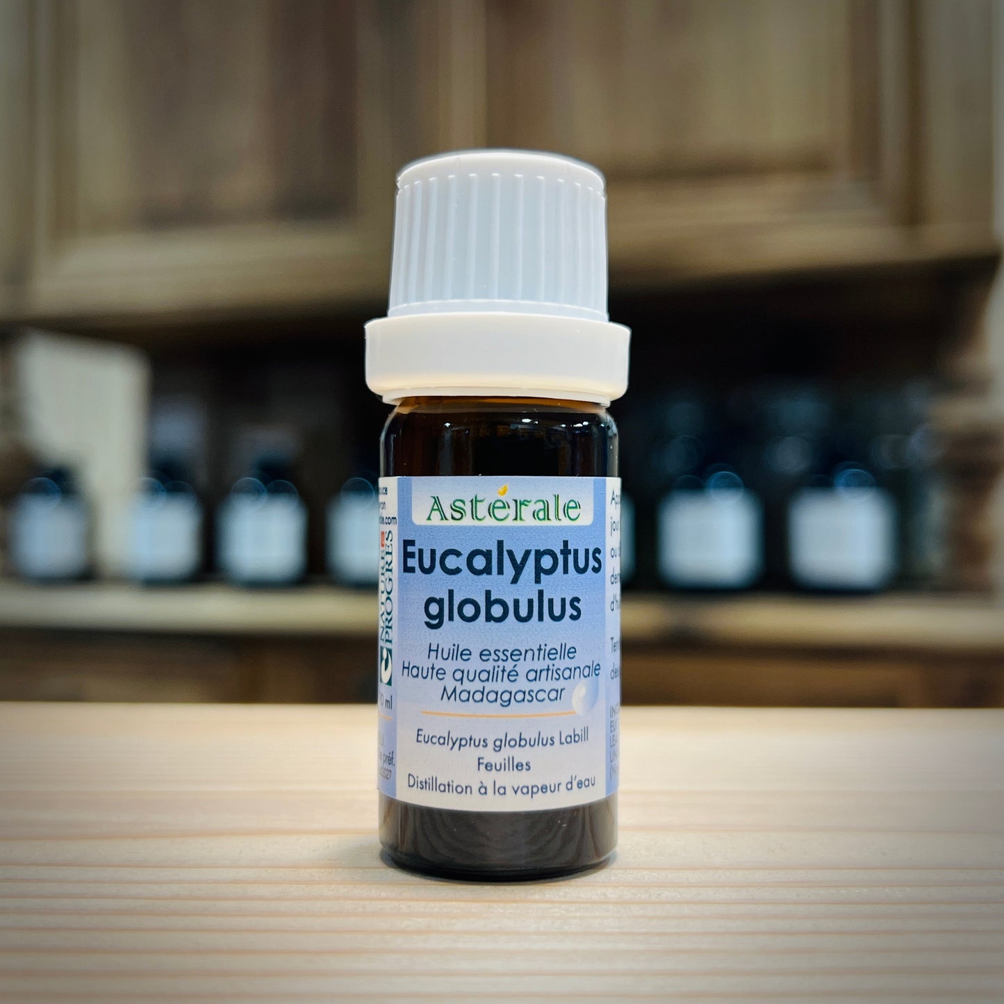 EUCALYPTUS GLOBULUS