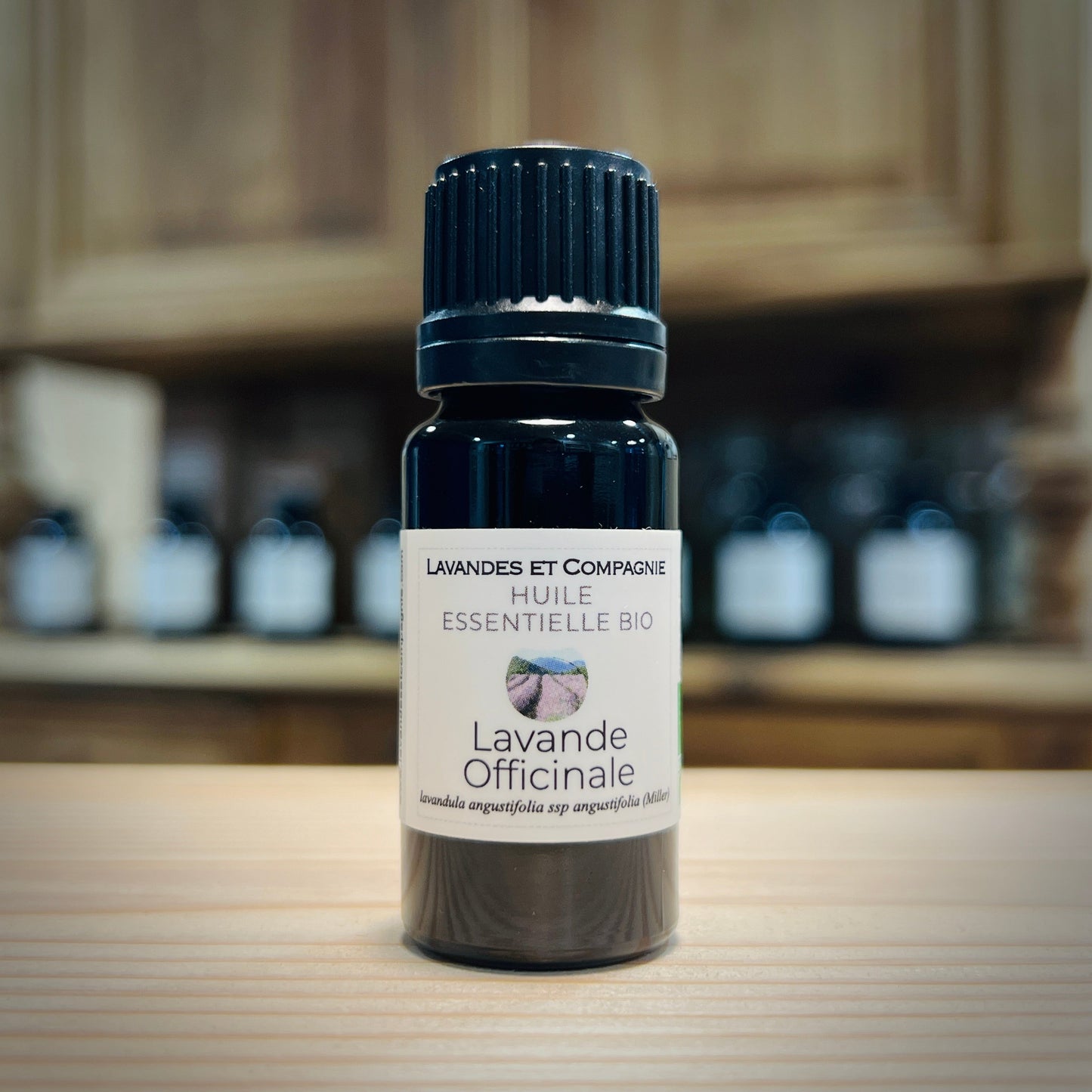 LAVANDE OFFICINALE