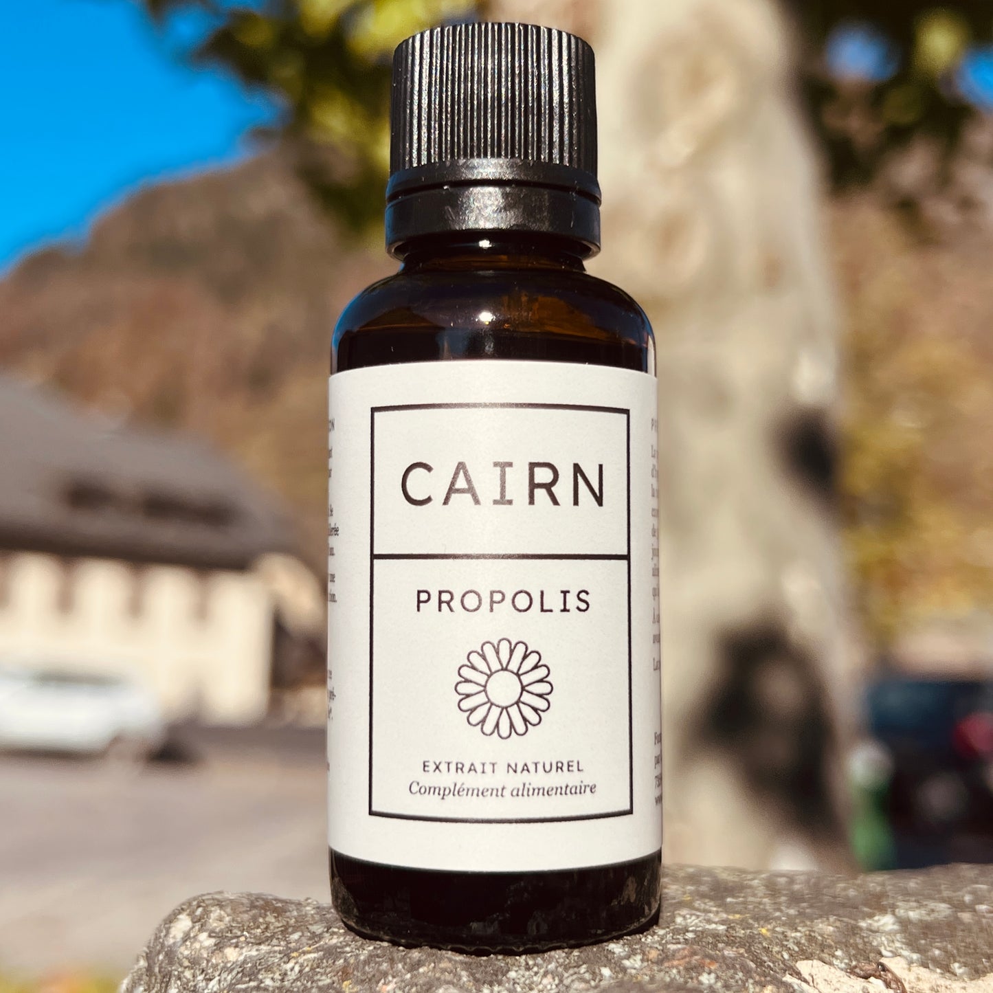 PROPOLIS